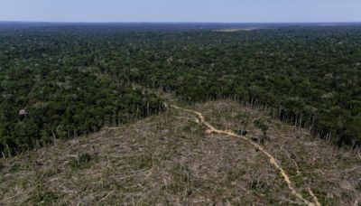 Justiça suspende reconstrução da BR-319 por falta de medidas para evitar destruição da Amazônia Por Reuters