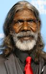 David Gulpilil