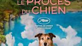 Kodi, estrela de "Le procès du chien", ganha Palm Dog em Cannes