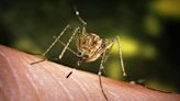 Which ZIP code had the first case of West Nile virus in mosquitoes in Travis County?