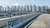 Forest City to regain popularity after becoming duty-free island - News
