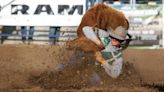 Outlaw cruel practice: Animal advocates across the country condemn Cal Poly rodeo | Opinion