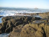 Cape Arago State Park