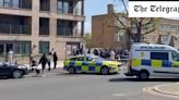 Woman stabbed to death in busy London street