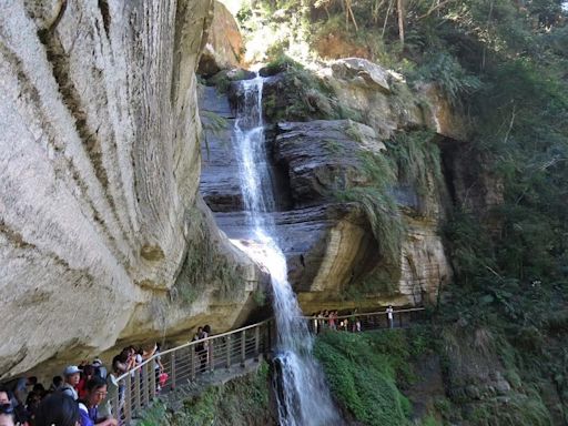 嘉義梅山鄉瑞峰山區竹林漫遊茶園賞景 自然美景心曠神怡！