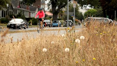 James Bay, Sidney more vulnerable to extreme heat: report