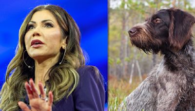 Was it legal for Kristi Noem to shoot her puppy — and what other options did she have?