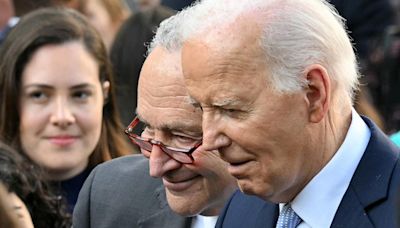 Schumer privately urged Biden to step aside in 2024 election: Sources