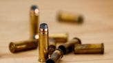 US District Court denies injunction to block background checks on ammunition sales - Mid Hudson News