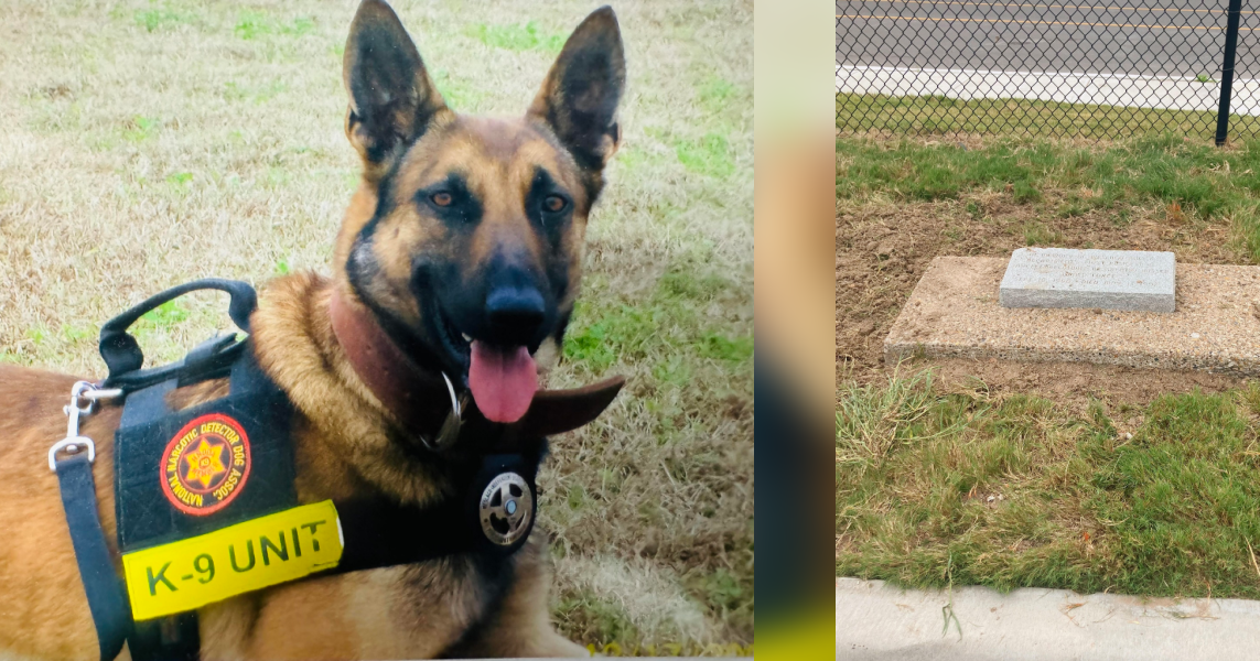 K9 Officer Marco's Legacy Preserved in Weslaco Police Department Relocation