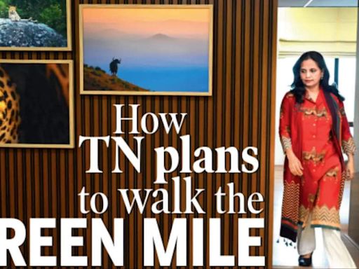 How Tamil Nadu plans to walk the Green Mile | Chennai News - Times of India