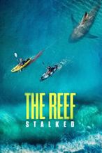 The Reef: Stalked