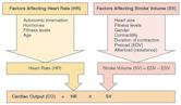 Cardiac output