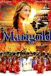 Marigold