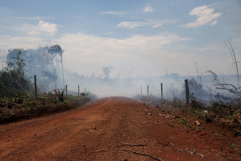 Exclusive-Operations to destroy illegal roads in Colombia's Amazon hit standstill, sources say