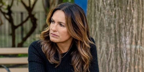 'Law and Order: SVU' Fans, There's a New Addition Joining the Franchise