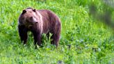 Which National Parks are closest to Fresno? (Excluding Yosemite, Sequoia, Kings Canyon)