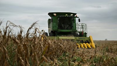 Mexico Needs American Corn Farmers Over Protectionism