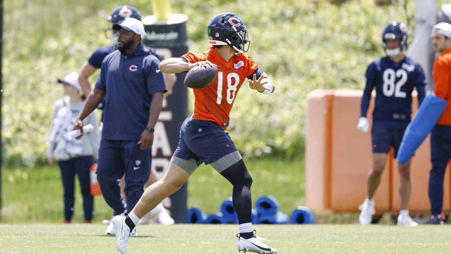 Big Years Still Expected from Some Bears by Oddsmakers