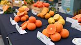 Mes del Citrus en Géant Roosevelt promueve la salud y la educación nutricional