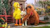 Brandi Carlile and Big Bird Sing “That’s Why We Love Nature” on Sesame Street: Watch