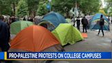 Pro-Palestine protests continue at colleges nationwide