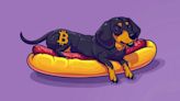 WienerAI presale hits 4.5M milestone - Meme coin with huge potential