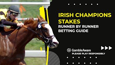 Irish Champions Stakes Runner By Runner Betting Guide