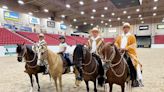 Gold Rush Peruvian Horse Classic returns to Las Vegas