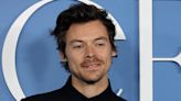 Harry Styles Serves Suit Over Stolen Styles