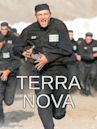 Terra Nova (2008 film)