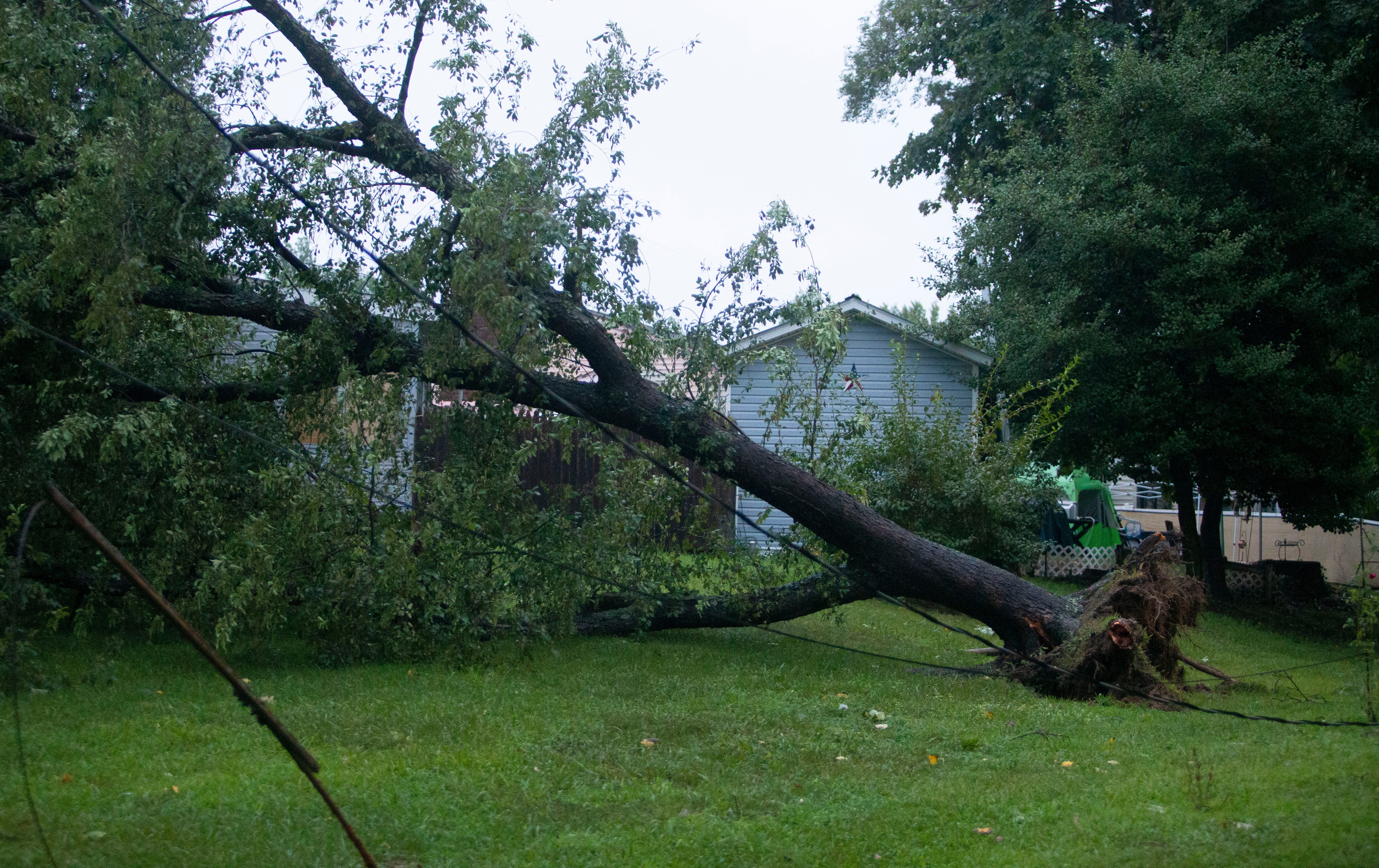 Delaware tornado delivered peak wind at 95 mph, damage in its 1-mile path. How big was it?