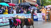 BREAKING EWES: Crowds flock to Washington for Running of the Wools sheep races