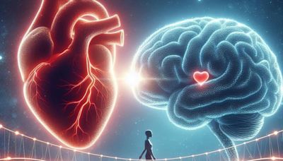 Cerebro y corazón trabajan unidos para darle sentido a nuestra vida