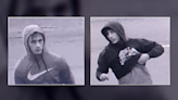 Three suspects in truck thefts in Shawville, Que. sought by police