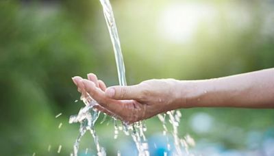 Alerta en Nueva York: emiten una advertencia por agua contaminada con una toxina que podría causar cáncer
