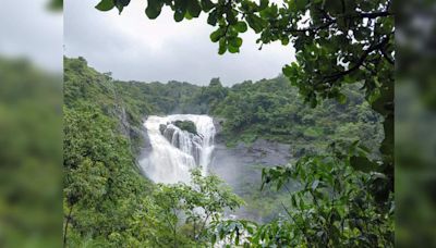 Kodagu: A monsoon paradise in Karnataka