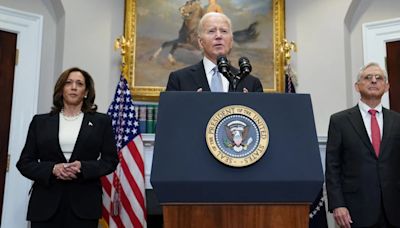 Cómo es el proceso de sustitución de Joe Biden como candidato demócrata