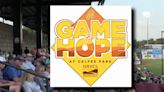 Hope @ Home: Pulaski River Turtles game benefits prevention coalition