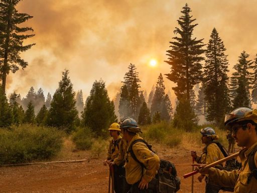 California's 'Monster' Park Fire Is Now One Of The State's Largest On Record