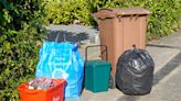 Bin collections: Anger at 'unmanageable' new waste plan that could include 6 different bins