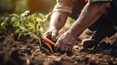 Alimentos sustentables: trazabilidad y huella de carbono, dos claves para una dieta amigable con el planeta