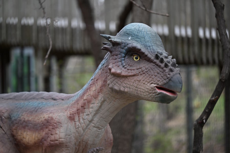 John Ball Zoo welcoming new prehistoric guests