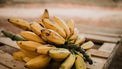 Quels sont les bénéfices sur la santé de la banane ?