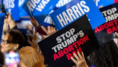 Opinion | Harris Is Good on Abortion Rights. Now She Needs to Take It to 11.