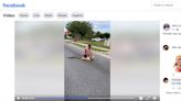 Video shows barefoot man wrangling alligator on busy Florida road