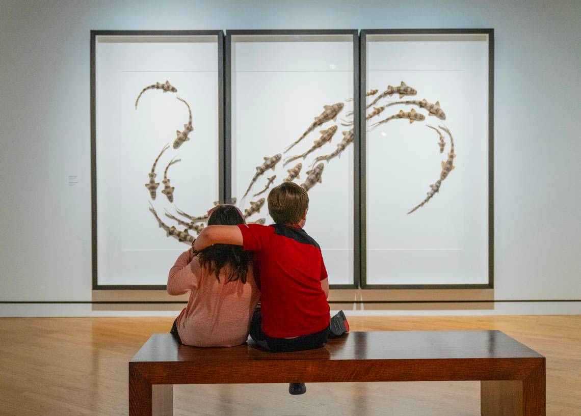 7 cities with museum exhibitions worth the drive from Wichita this summer