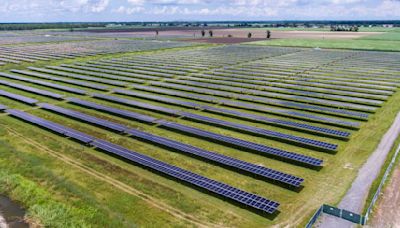 A plan to build one of Louisiana's biggest solar farms was rejected. Lawsuits have now been filed.