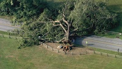 Power outages and damage reported across Pennsylvania, South Jersey and Delaware after storms