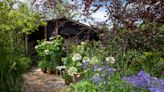 Ditching weedkiller and gardening for nature boosts wellbeing more, study says